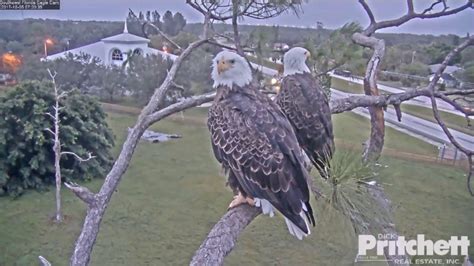 Fort myers eagle cam - Are you considering building your dream home in Fort Myers, FL? If so, choosing the right home builder is crucial to ensuring a smooth and successful construction process. With so ...